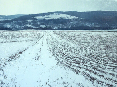 Renaissance. Courtesy of Hugo Galerie