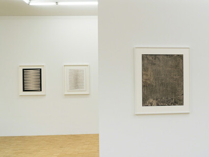 The chemigram. Courtesy of Galerie Anna Wenger