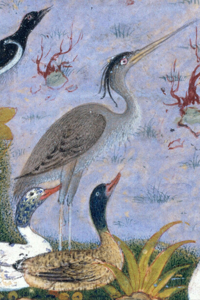 L'Upupa viene anche associata all’araba fenice, uccello mitologico simbolo della ciclicità vita-morte-rinascita