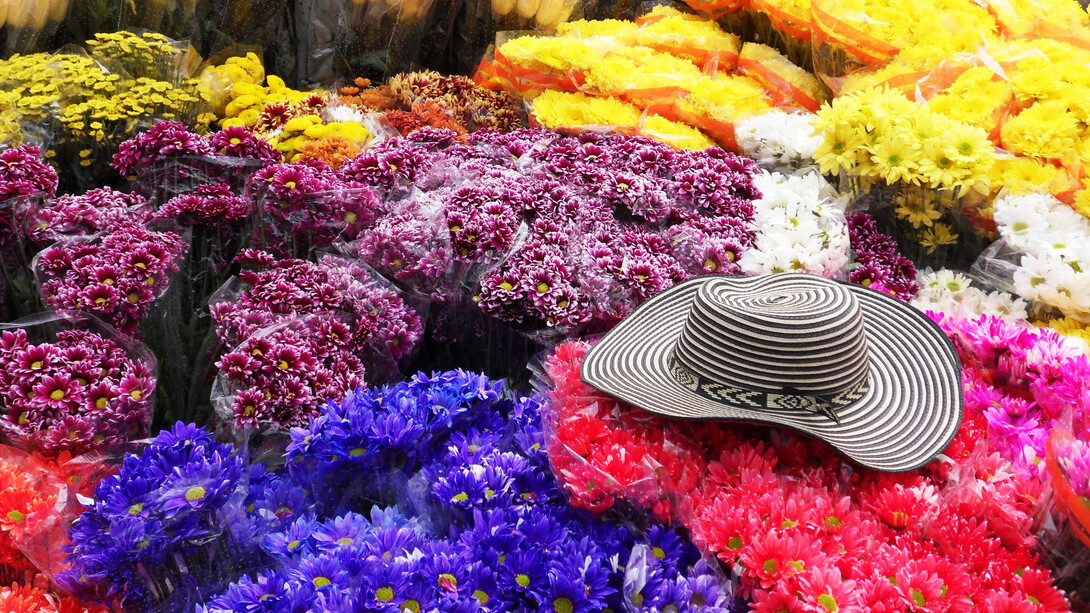 Flores amarillas azules y rojas con un sombrero encima, representando los colores de la bandera de Colombia y Venezuela