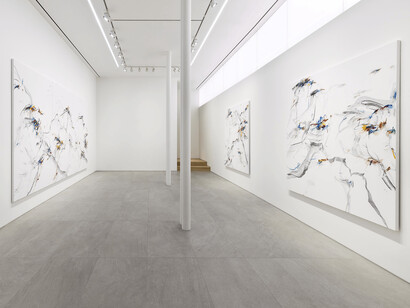 Xiyao Wang's Allongé - Out of Reach, installation view, Perrotin Seoul. Photo by Hwang Jungwook. Courtesy of the artist and Perrotin