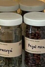 Archivo de semillas en refrigeración, parte de la exhibición "Tierra Maestra" de Mariela Richmond