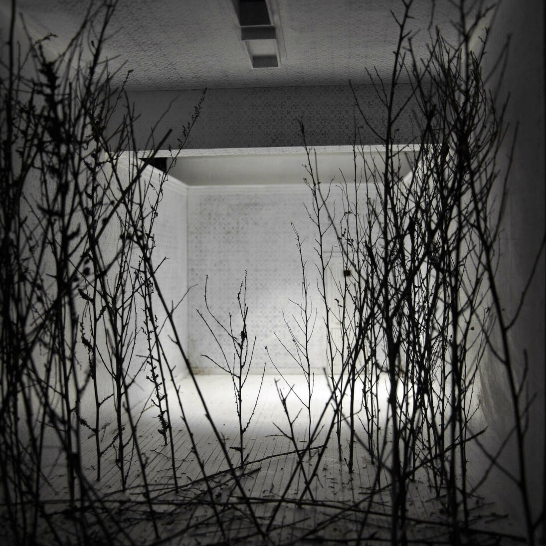 Spazio Visivo, teatrino drops 2010