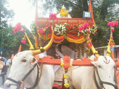 Animals involved in the celebrations