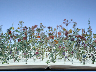Su Blackwell, Wild Flowers, 340mm w x 260mm h x 240mm d, Paper, book, paper sculpture in glass and wood box
