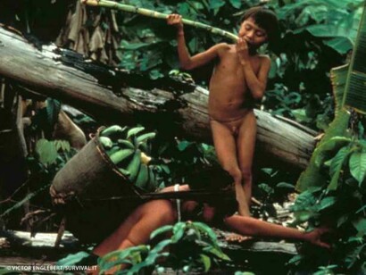 Un niño Yanomami, observando cómo los mayores trabajan