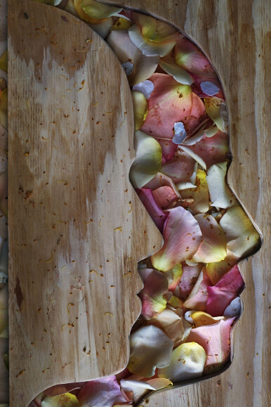 Abelardo Morell. Courtesy of Edwynn Houk Gallery
