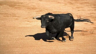 Raging Bull