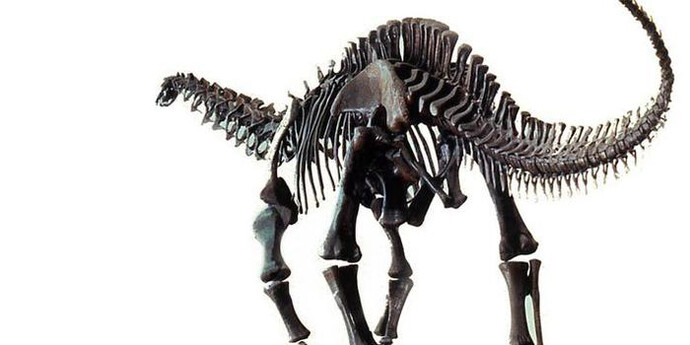 Hall of Saurischian Dinosaurs. Courtesy of American Museum of Natural History