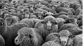 La cuestión es ¿por qué una buena parte de la población de un país cree en una figura política mesiánica como su líder indiscutible? 