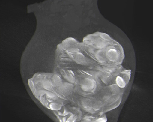 The Past Under a Microscope. Courtesy of National Museum of Slovenia
