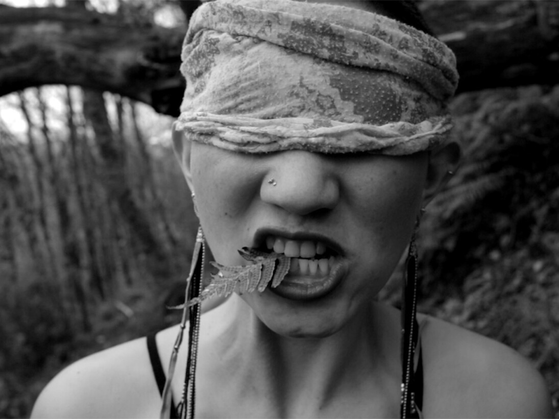 Amanda Lee Silver, Still from "Homeland," 2016, Photograph, 5 x 8 inches. Courtesy of Dedalus Foundation
