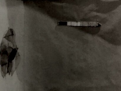 Libro Sin Carátula (fragmento), Dinorah Carballo, 2000