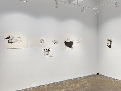 Torey Akers, Besotted, exhibition view. Courtesy of A.I.R Gallery