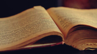 An open old book with torn pages tells stories not just through its words