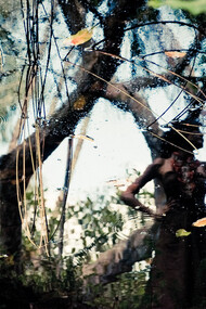 B side.  Fotografía Diana Figüeroa, 2008       