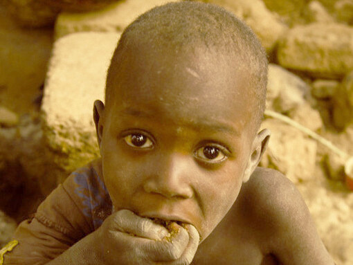 La nutrición inadecuada derivada de la inseguridad alimentaria se asocia a importantes problemas de salud y a graves desafíos neurocognitivos, psicoemocionales 