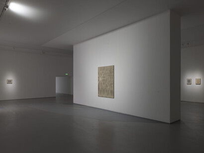 Symbiotic friend, exhibition view. Courtesy of Hive Center for Contemporary Art