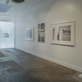 Robert LeBlanc, Tin lizards, exhibition view. Courtesy of Fahey/Klein Gallery