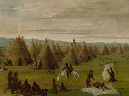 Picturing the American Buffalo. Courtesy of SAAM