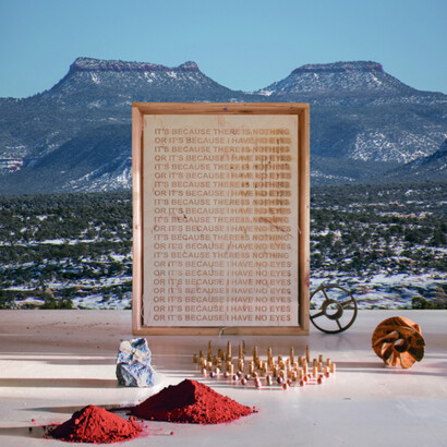 Mary Mattingly. Courtesy of Robert Mann Gallery