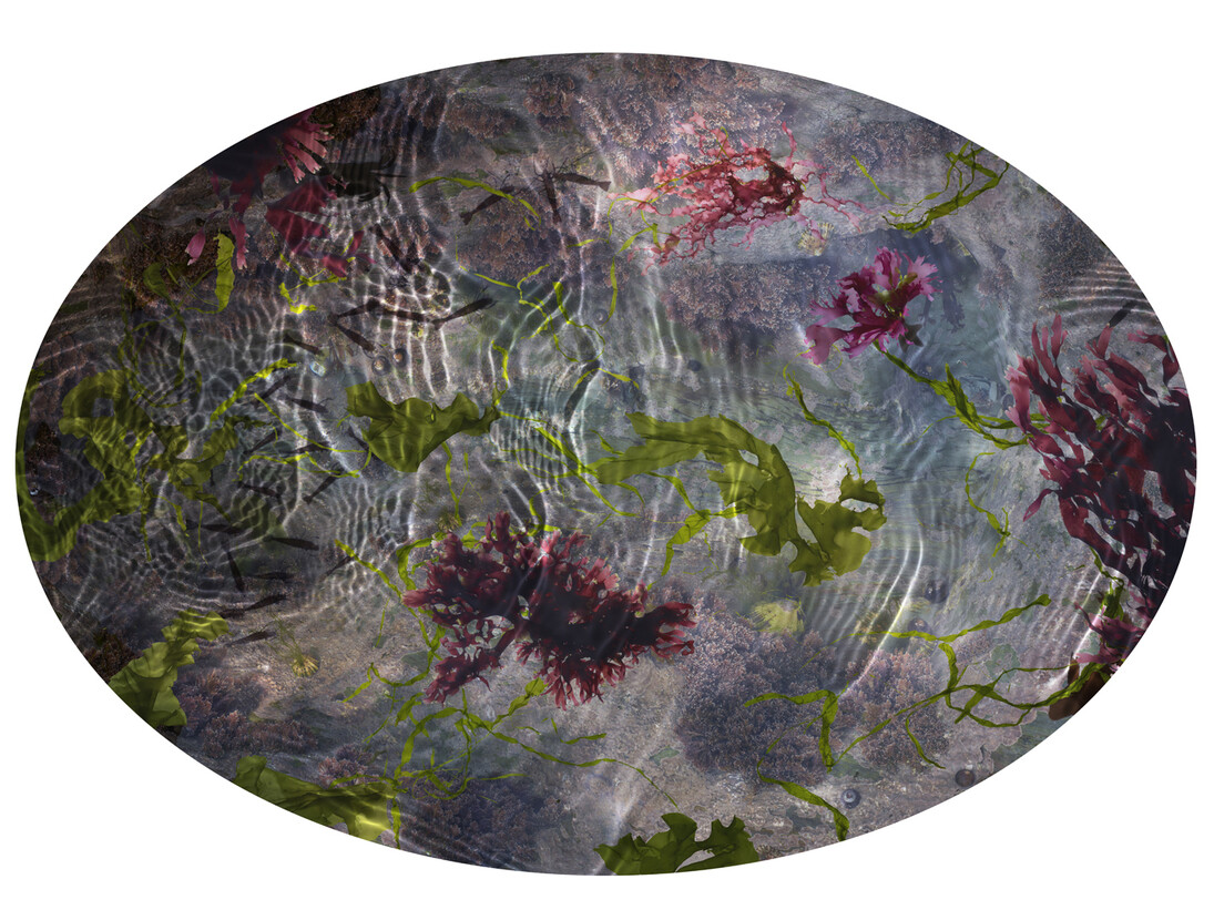 Susan Derges, Tide Pool 33, Unique C type print, 53.1 x 76.2 cm, 20.9 x 30 inches