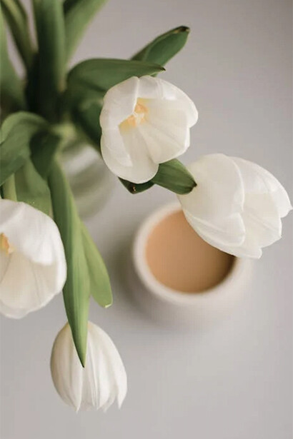 Taza de leche con flores blancas, foto de Marta Dzeolyshko