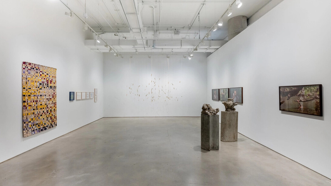 Various artists, Mirroring nature, exhibition view. Courtesy of Nara Roesler Gallery