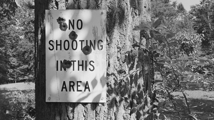 Lee Friedlander, New City, New York, 2014 / printed 2014, gelatin-silver print, 12-1/4 x 18-1/4 inches. © Lee Friedlander, courtesy Fraenkel Gallery, San Francisco