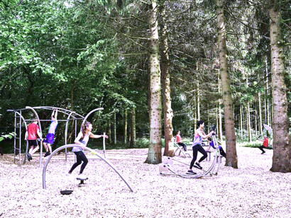 Los parques biosaludables tienen muchos problemas de fondo