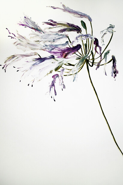 Gaël Davrinche, Memento Mori, 2015 © the artist, courtesy Magda Danysz gallery