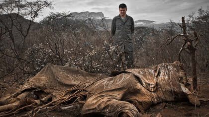 Il bracconaggio in Africa