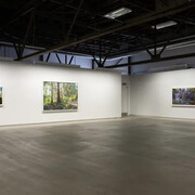 Sarah Anne Johnson, A mountain and a forest, exhibition view. Courtesy of Blouin Division
