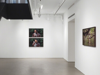 O espirito das águas. Courtesy of Alexander and Bonin