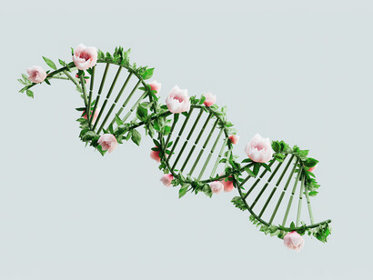 Hay que hacer presente la muerte en la vida y así mejorará nuestra comunicación con el subconsciente