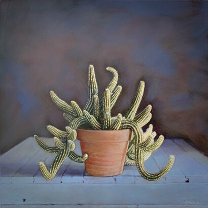 Kate Breakey, Cactus XXV. Courtesy of Etherton Gallery