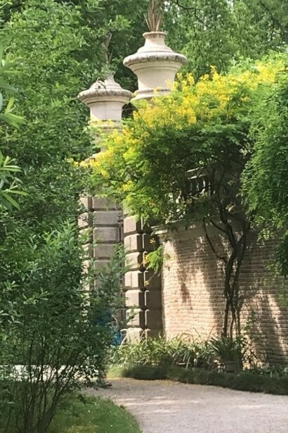 Colori di primavera all'Orto Botanico