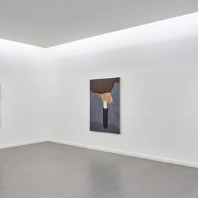 Lyn Liu, H-dropping, exhibition view. Courtesy of Kasmin Gallery