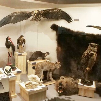 Don't buy their lives. exhibition view. Courtesy of the Latvian National Museum of Natural History