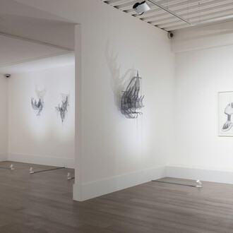 Afruz Amighi. Courtesy of Sophia Contemporary