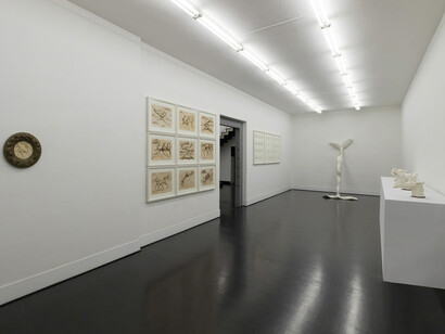 Museo di Storia Innaturale. Courtesy of Galleria Pack