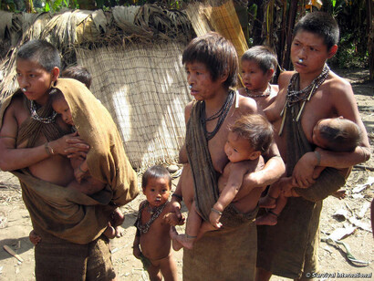 Members of the Nanti tribe, an isolated group whose lands have been taken over for the Camisea gas project. ©Survival International