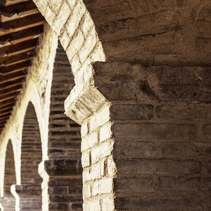 Partnering with all creation

