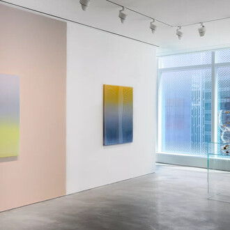 Mika Tajima, Penumbra, exhibition view. Courtesy of Pace Gallery