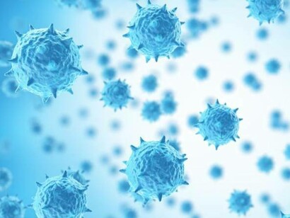 Nel caso dell’epidemia, trattandosi di un problema sanitario l’attenzione si è concentrata sui medici e in particolare sui virologi