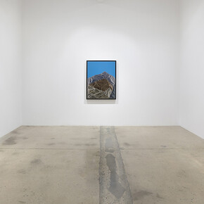 Force of Nature. Courtesy of Steve Turner