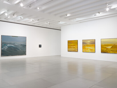 Enrique Martínez Celaya, The Mariner's Meadow, 2019, Installation view, Courtesy the artist and BlainSouthern, Photo Peter Mallet