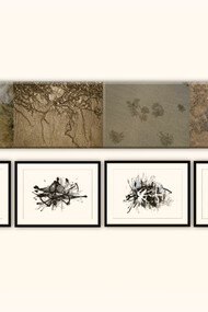 Cristina Gutiérrez; Gráfos, instalación con 6 fotografías y 6 dibujos, 2023