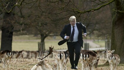 Ejecutivo londinense paseando entre la fauna de Richmond Park