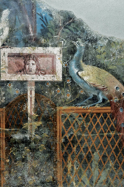 Fresco of a peacock on a garden fence
Painted plaster
Pompeii, peristyle garden, House of the Black Wall
	Museo Archeologico Nazionale di Napoli (MANN)